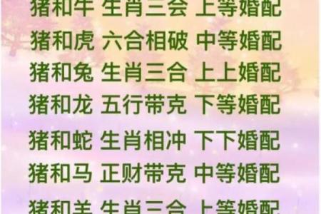 生辰八字相合的秘密：如何通过八字配对找出最佳伴侣