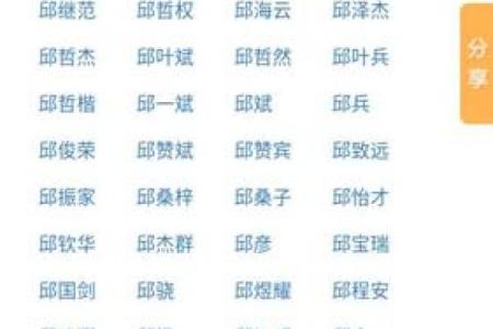 选择合适的软件公司名字的技巧