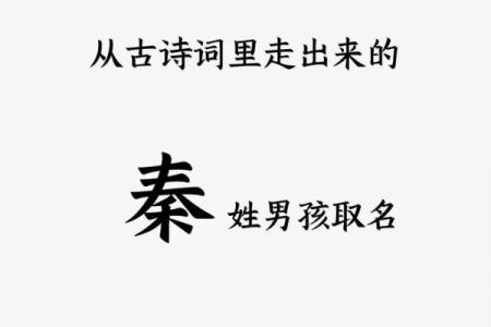 如何为秦男孩起个既有文化底蕴又具现代感的名字