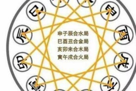 属鼠的人五行命理解析，揭开命运的神秘面纱