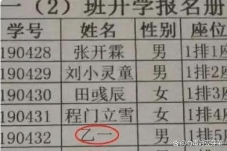 性母在宝宝起名中的重要性与技巧探讨