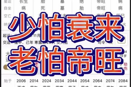 二婚八字影响感情的因素，如何通过命理提高幸福感？