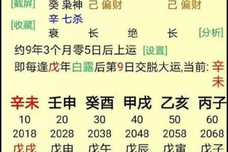 八字揭秘：如何通过出生年份了解命运走向