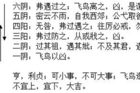 易道风水专业机的选购指南与使用技巧