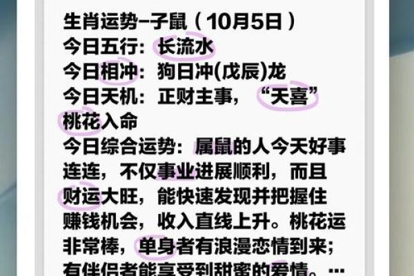 今日鼠年运程预测：事业与财运的变化