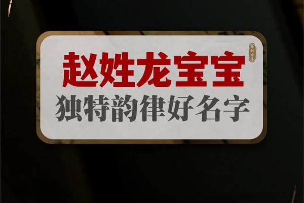 适合赵姓男孩的名字,响亮又有内涵 适合赵姓男孩的名字,响亮又有内涵