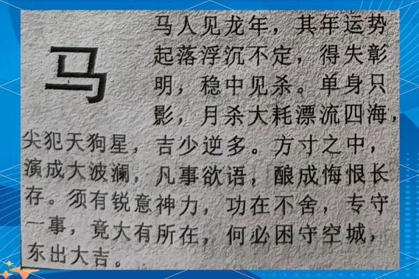 属马人的财运与爱情运势大预测