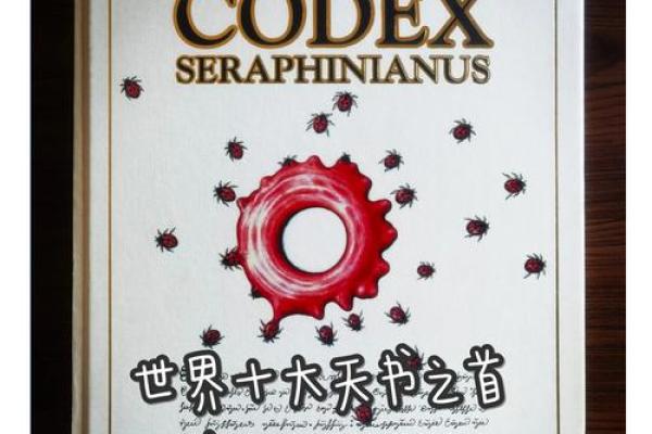 行属什么？揭开背后的神秘面纱