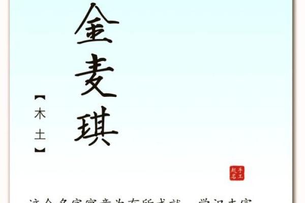 最适合金姓男孩的名字大全解析 最适合金姓男孩的名字大全解析