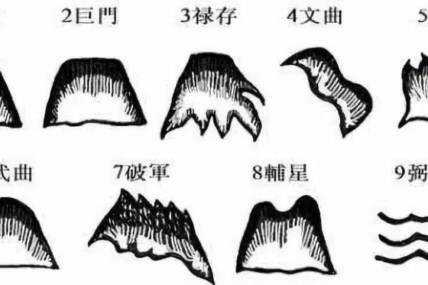 杨公风水基础入门指南，开启你的风水之旅