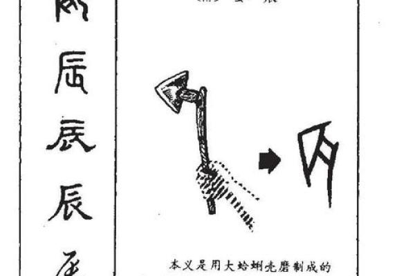 辰字在宝宝起名中的寓意与应用解析 辰字在宝宝起名中的寓意与应用解析