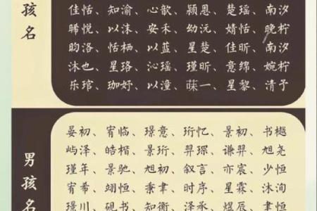 为孩子取一个充满活力的名字，展现个性与魅力