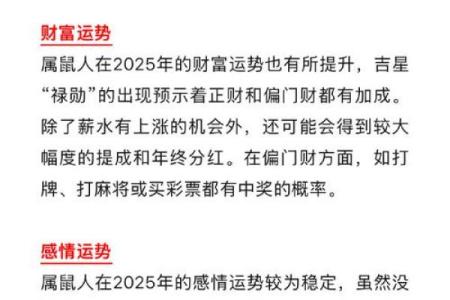 今日鼠年运程预测：事业与财运的变化