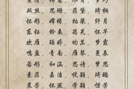 热门公司名字创意灵感