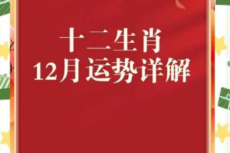 属马人的财运与爱情运势大预测