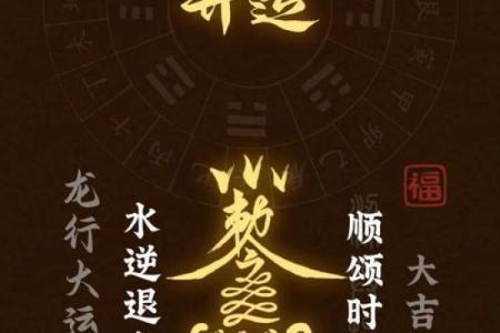 属鼠人的运程指南：如何应对变化与机遇