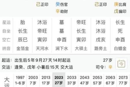 八字中的五行如何帮助女性实现财运自由？