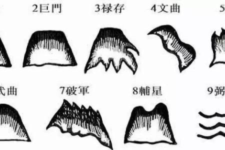杨公风水基础入门指南，开启你的风水之旅