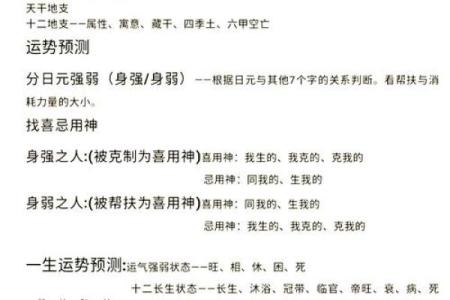 淅字五行解析：深入了解其在命理中的重要意义