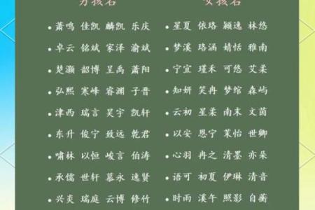 如何根据期望为宝宝起个独特又有意义的名字