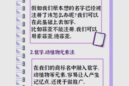 外贸公司商标起名技巧与创意策略解析
