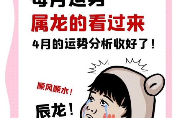 旺运事业提升:属龙办公室风水指南 旺运事业提升:属龙办公室风水指南