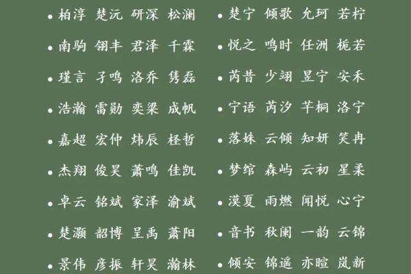夏姓男宝宝起名推荐:寓意深远的独特选择 夏姓男宝宝起名推荐:寓意深远的独特选择