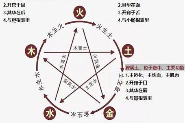夫妻五行相生相克关系解析，揭示婚姻幸福的奥秘