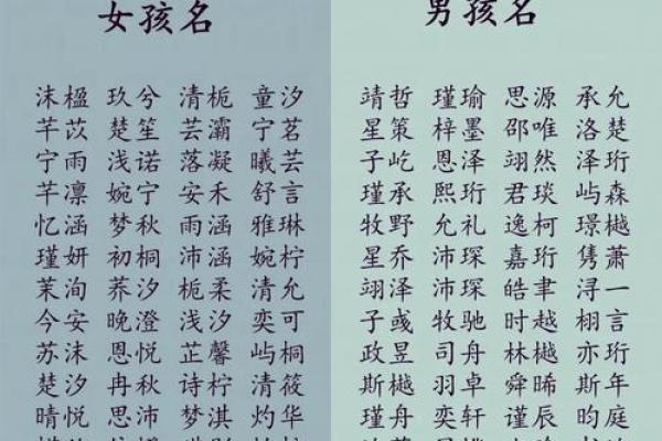 四个字男孩名字推荐与寓意解析
