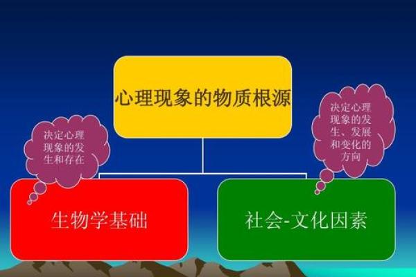 探讨相同名字的社会现象与心理影响
