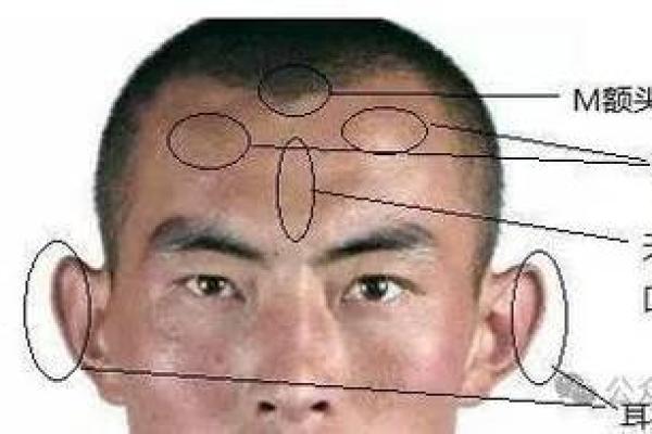男人有八字眉,究竟意味着什么?面相师为你解答 男人有八字眉,究竟意味着什么?面相师为你解答