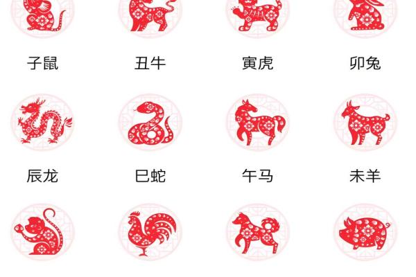 如何根据生肖分析你的运程走向