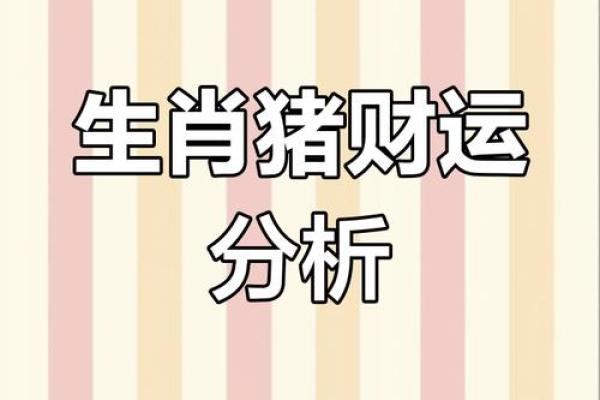猪年财富运势：属猪人如何抓住财运良机