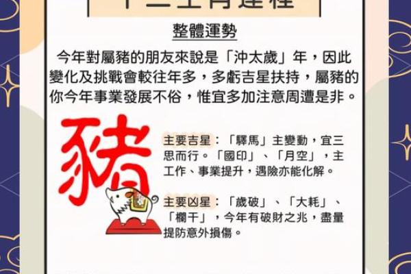 生肖运程对事业与财运的影响