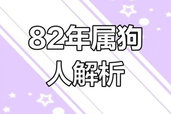 属狗人的运势分析