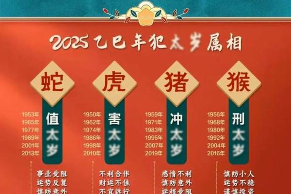 属鼠运势全面解读：爱情与健康的挑战