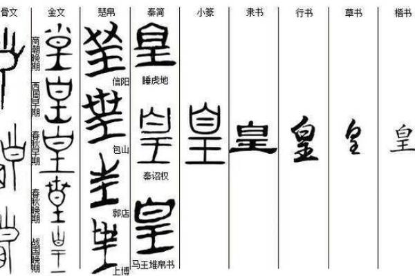 皇字开头的公司起名技巧与创意推荐