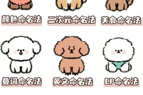 如何为狗狗取个既好听又有个性的名字