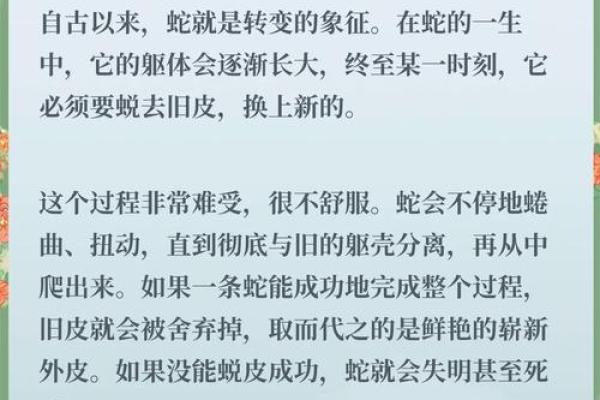 探索蛇的不同名字及其来源