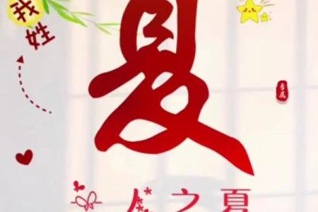 夏姓男宝宝起名推荐：寓意深远的独特选择