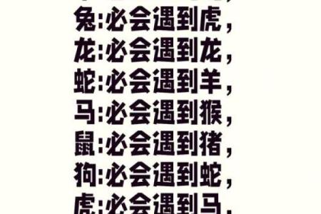 鸡年对属猪人的感情和健康运势影响