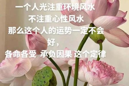 从办公室摆设看风水，如何促进职场好运