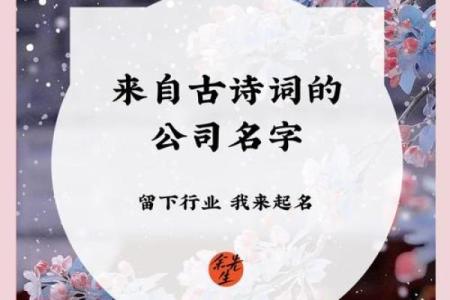如何用古诗词为公司起个有文化的名字