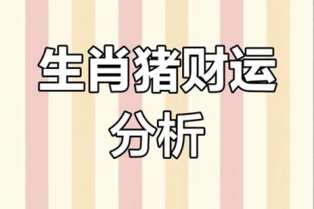 猪年财富运势：属猪人如何抓住财运良机