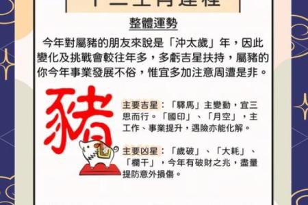 生肖运程对事业与财运的影响