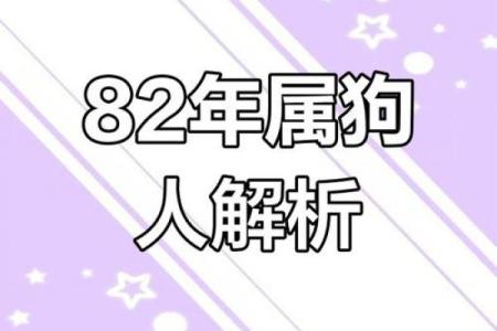 属狗人的运势分析