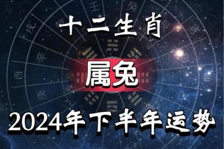 属兔运程全解：事业、财富与感情运势