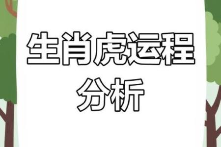 属虎人一生运势解析：成功与挑战并存