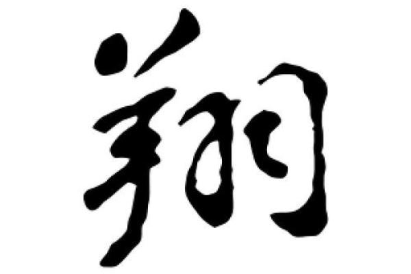 翔字在公司命名中的象征意义与文化内涵 翔字在公司命名中的象征意义与文化内涵
