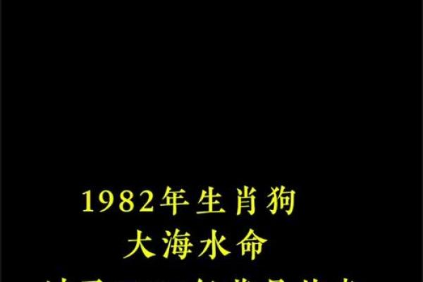 属狗人的名字选取指南,提升运势的最佳命名方式 属狗人的名字选取指南,提升运势的最佳命名方式